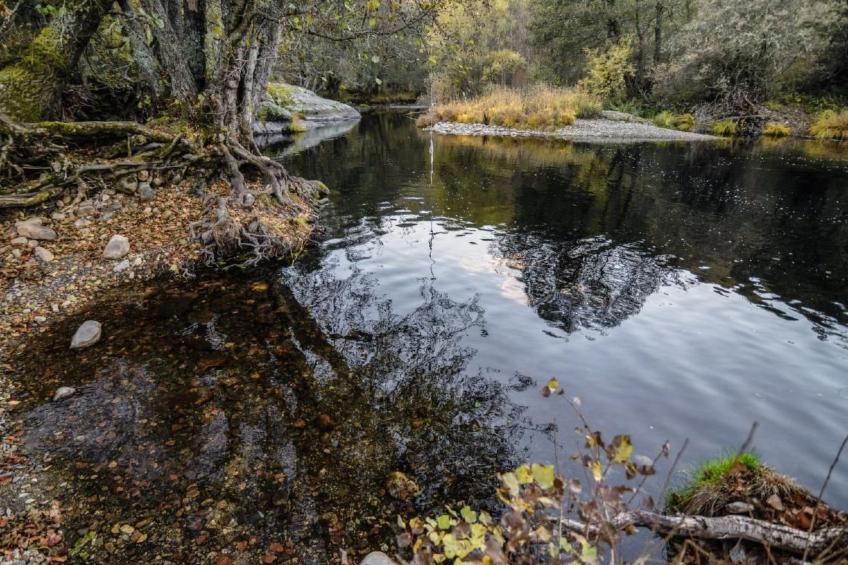 Rural House in the mountain of León - foto 25