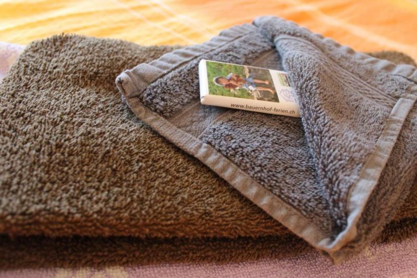 Feierlenhof, 2-Zimmerwohnung Granny, Parterre - foto 7