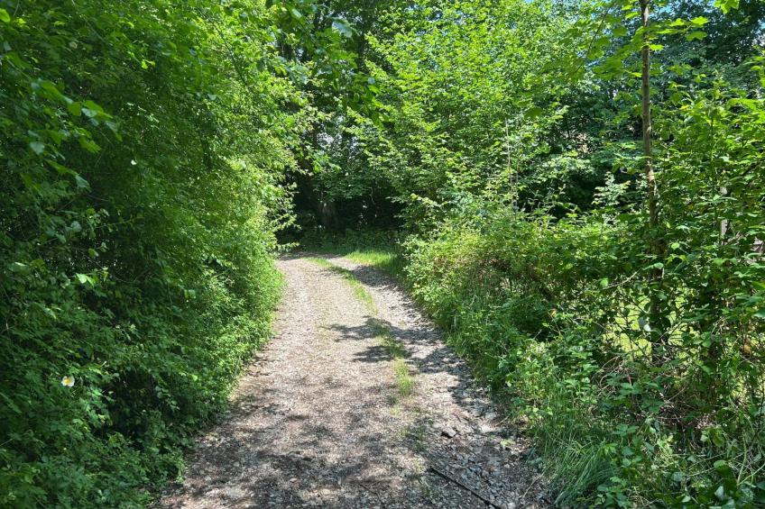 The Forest Retreat - foto 43