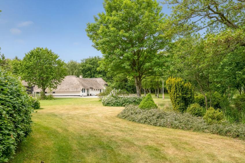 "Tatiane" - 10km from the sea in Western Jutland - foto 61