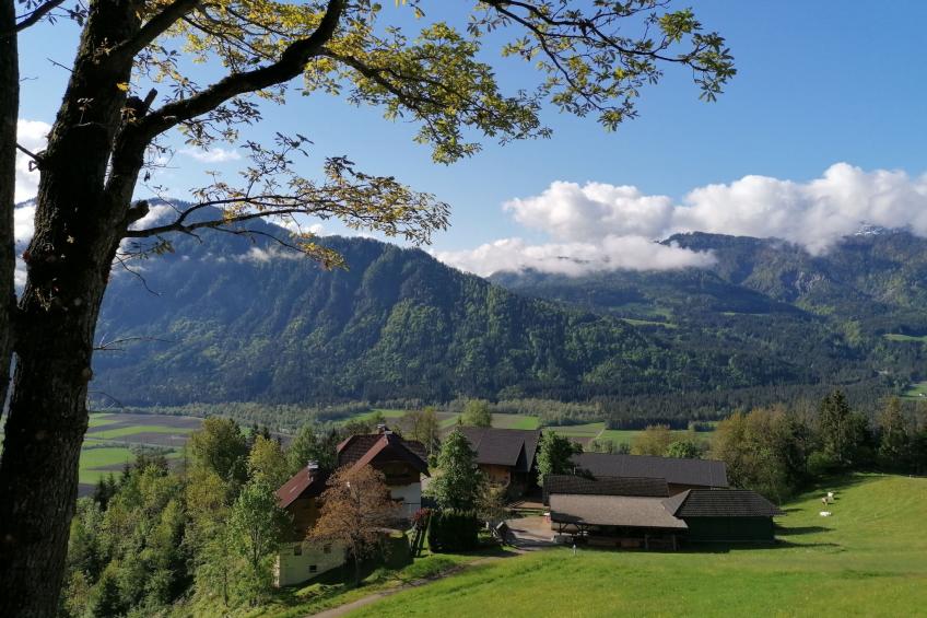 Reißkofel in Steinfeld - foto 2