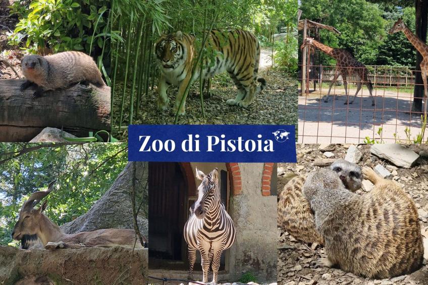 Rosa Selvatica by Holiday World - foto 26