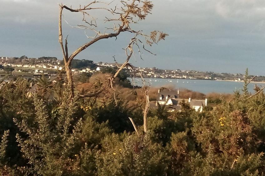 "Ty Saoson" mit Blick auf das Wasser - foto 30