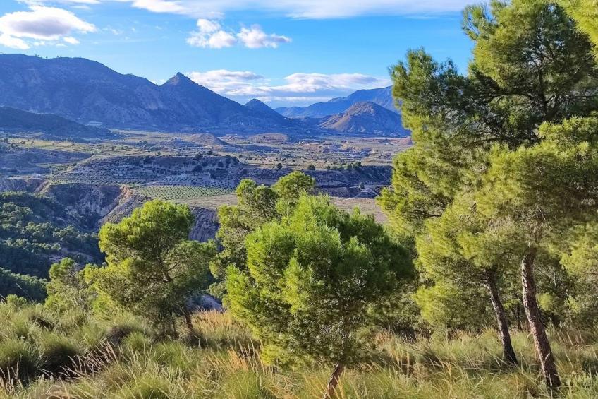 Domicilio de Vida - foto 56