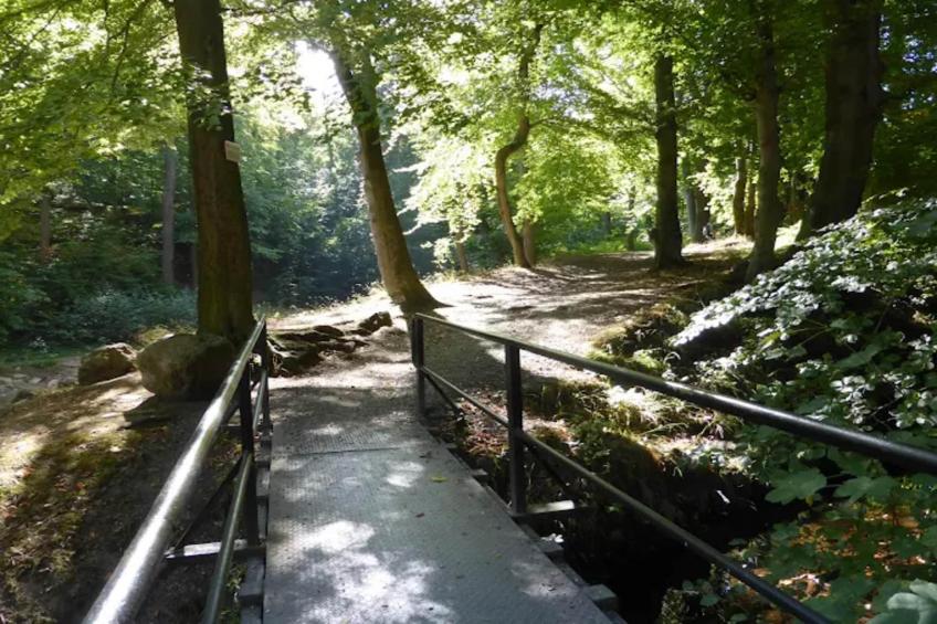 Haus Buchberg - foto 14