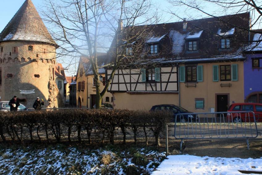 2ed-Face Vosges,im Süden,Herz Weinberg,Ruhig,WiFi - foto 20