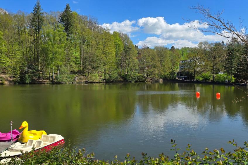 WALDLIEBE ♡ - foto 32