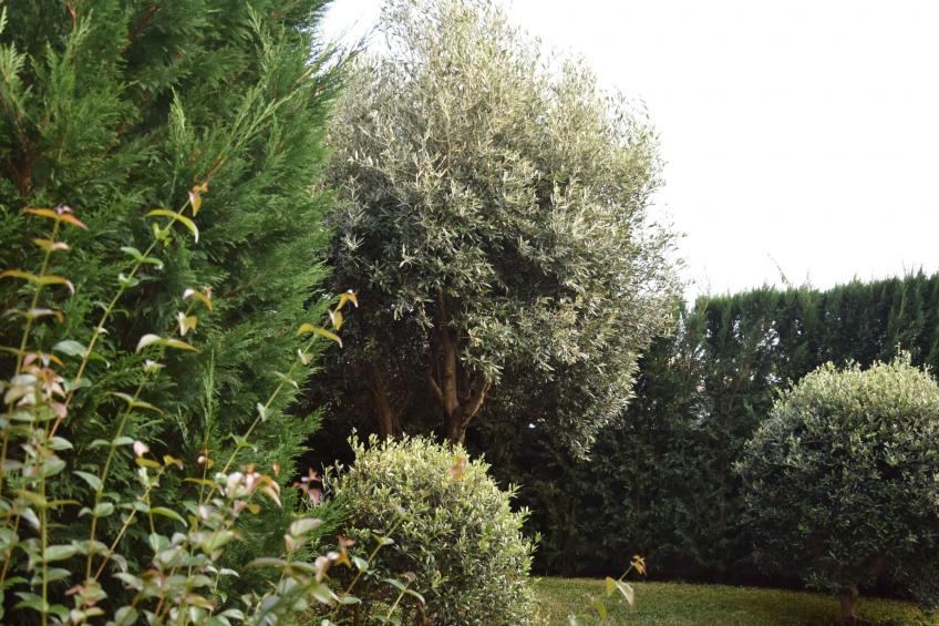 in Estreito Da Calheta mit Privatem Pool und Meerblick - foto 34