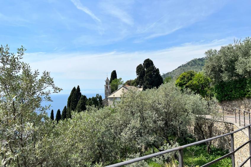 Gemütliche, helle Ferienwohnung Leda - foto 8