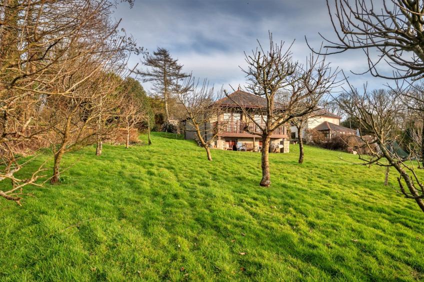 Orchard View - foto 31