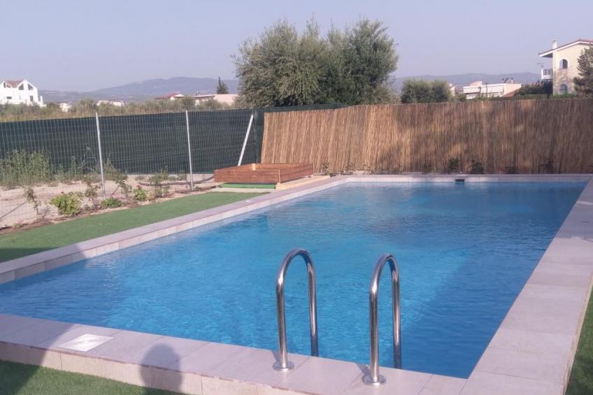 neben Orangenbaum-Obstgarten - foto 25