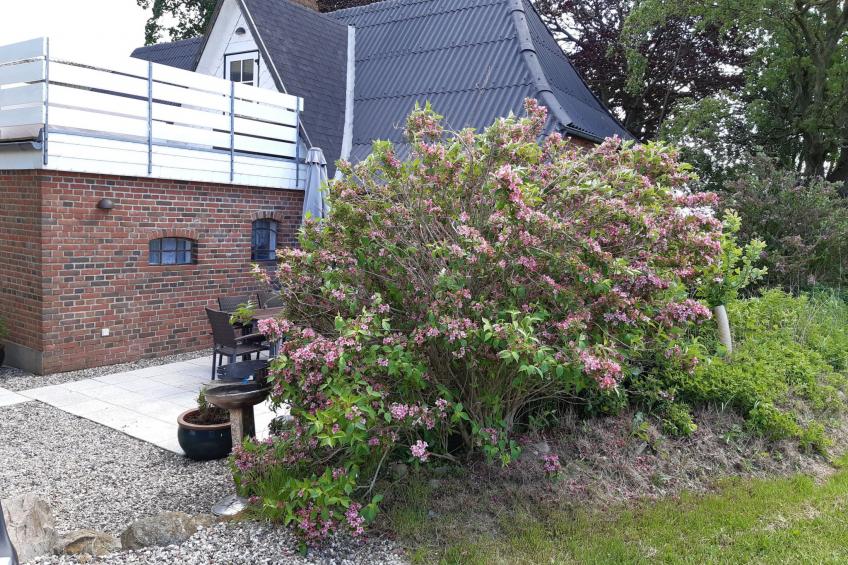 Land-Ferienhaus - foto 23