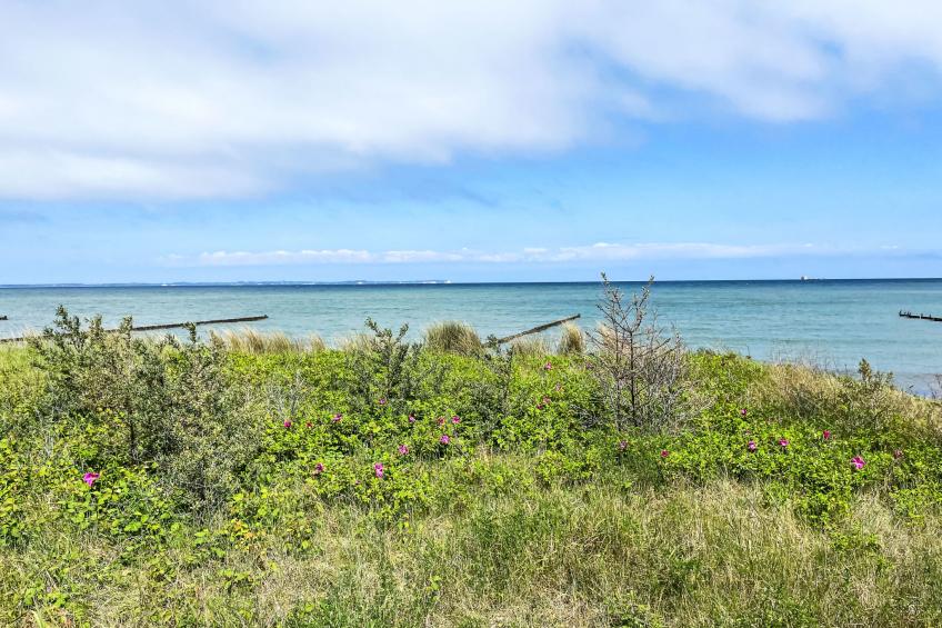 Rügen - Promoisel - Auszeit am Kreidesee, zwischen Sassnitz und Sagard - foto 28