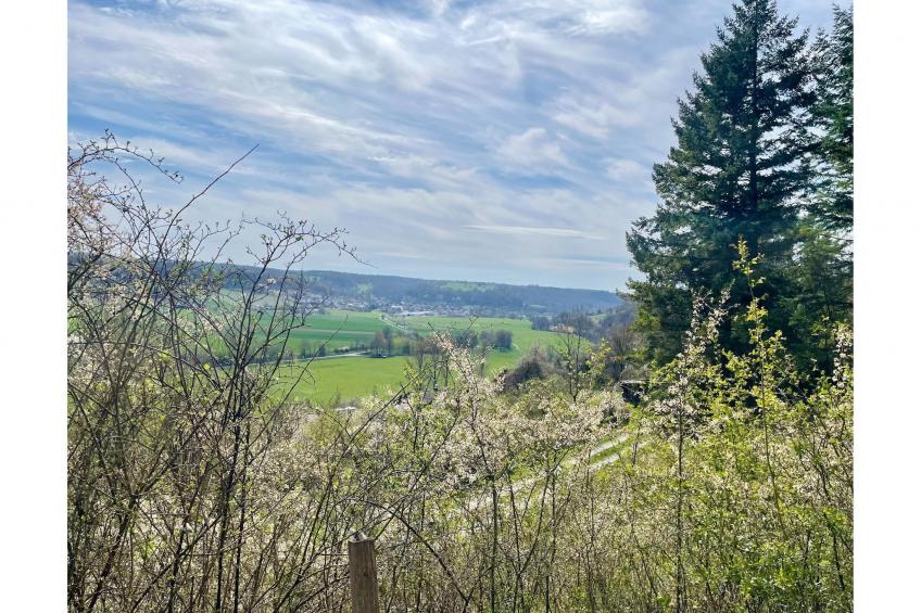 Ferienhaus im Weinberg - foto 28