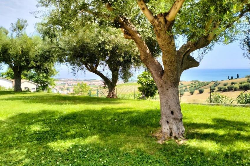 Schoene Appartment mit panoramische Blick - foto 6