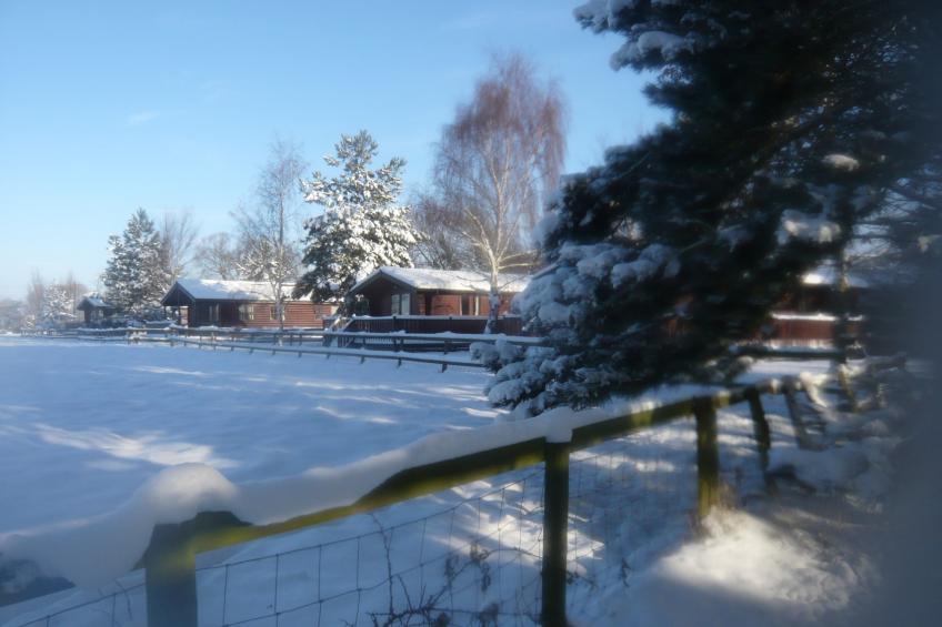 Five Waterings - foto 24