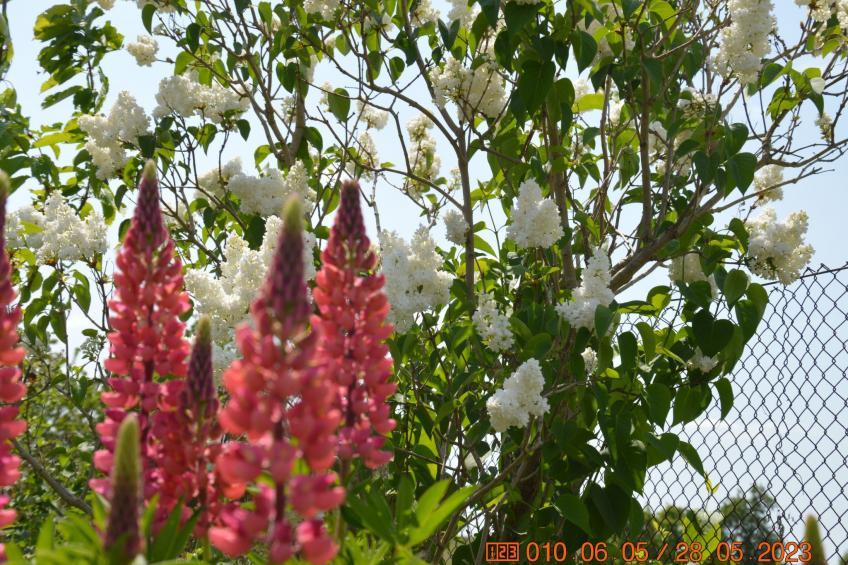 Büdnerei Cantnitz - foto 19