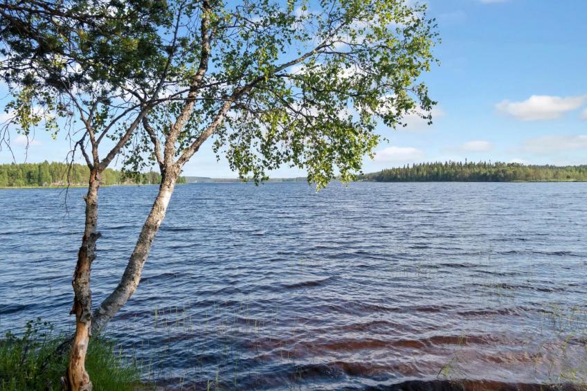 Joulupukin mökki - foto 28