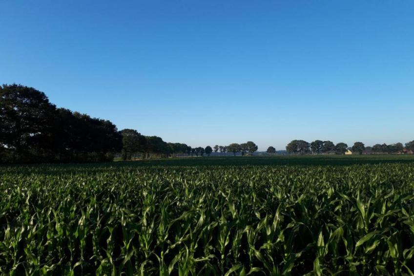 Buitenplaats Gerner 6 - foto 36
