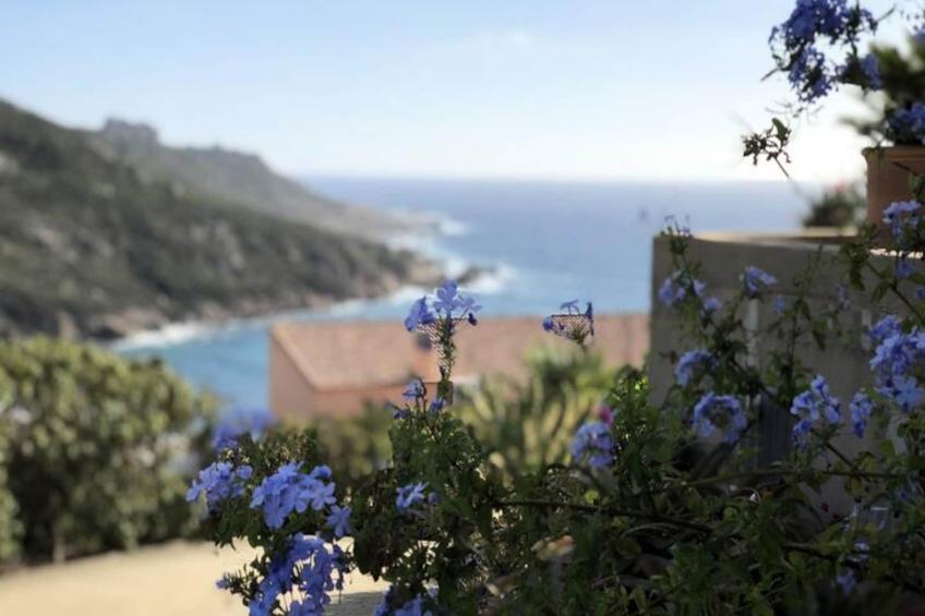 Résidence Sull001-sartene - foto 31