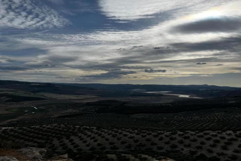 La Cocineta - foto 28