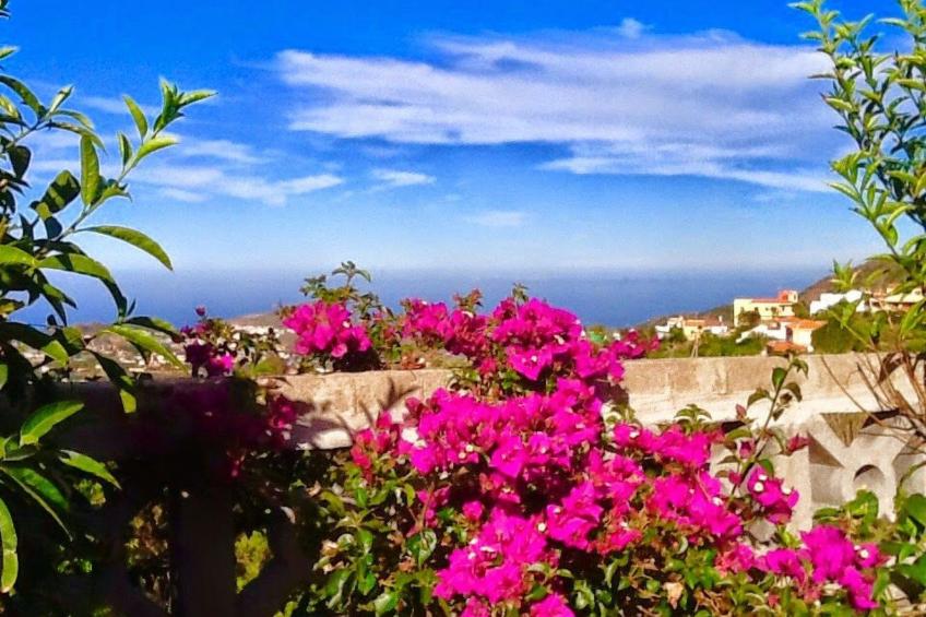 Finca mit Garten, Grill und Terrasse - foto 9