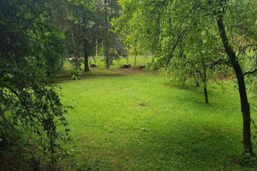 Ferienapartment Afrika in Wildemann Harz - foto 23