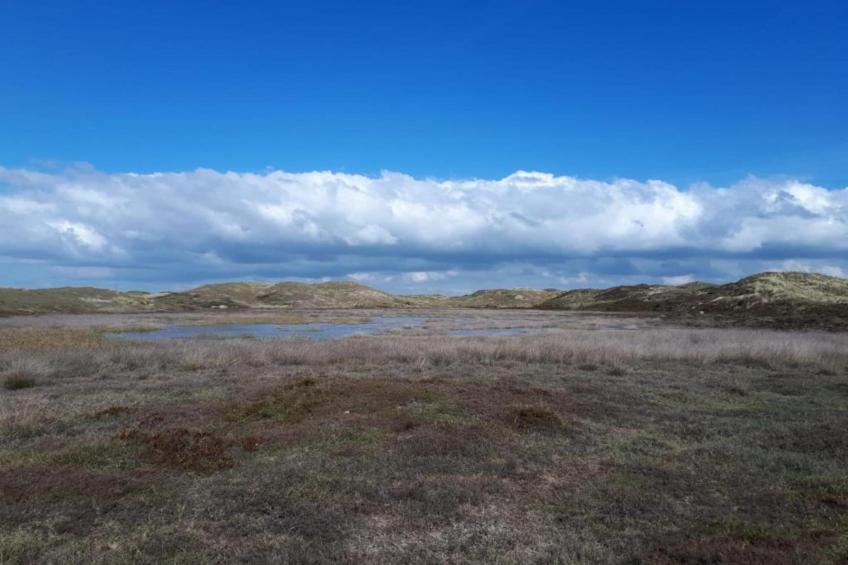 De Schelp 21 - foto 11