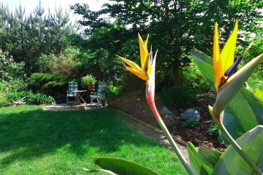 Apartment Royal - foto 4