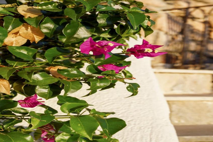 Magnifique villa avec vue sur mer et belle piscine - foto 77