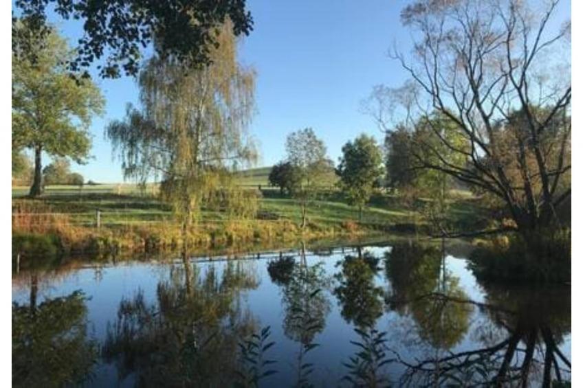 211 1P 40€(6) Schulz - foto 18