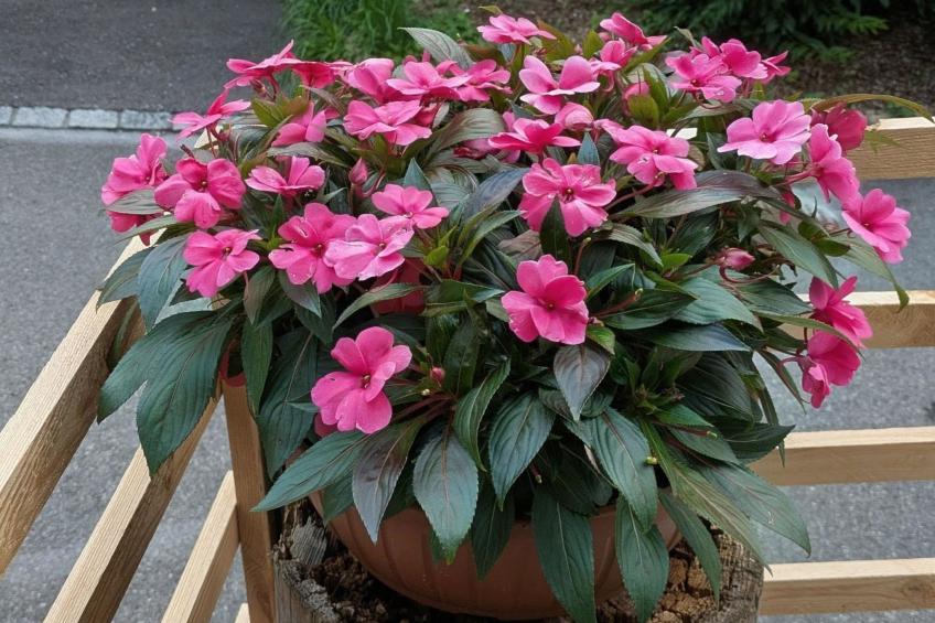 Arlinn Apartment - foto 7