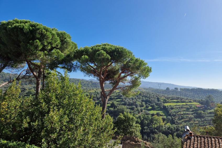 Papalino Charmantes Haus - foto 49