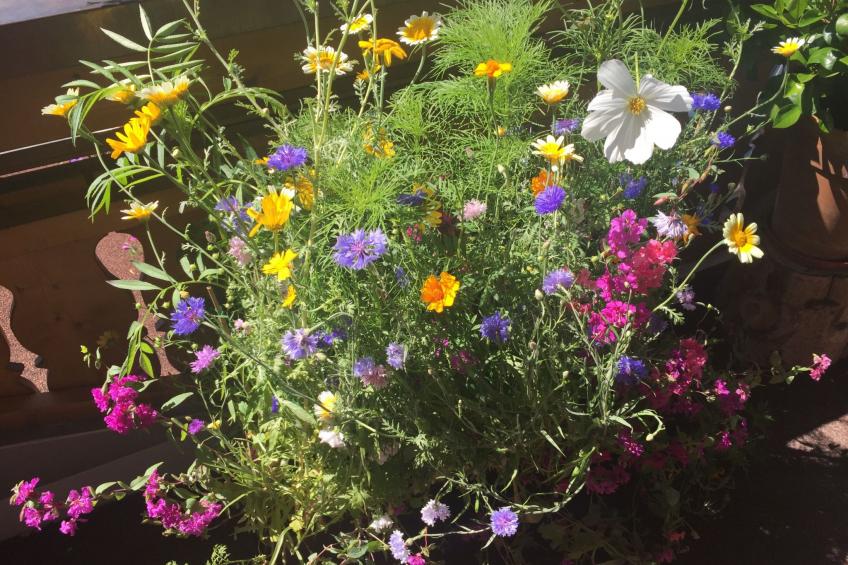 Fewo Bergblick lodge - foto 21