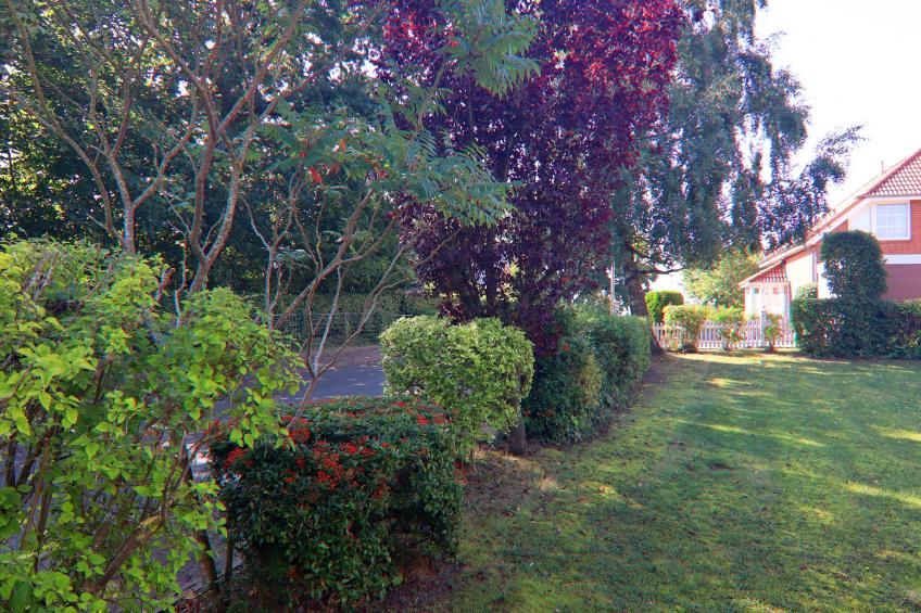 Ferienhaus Rebhuhnweg - foto 39