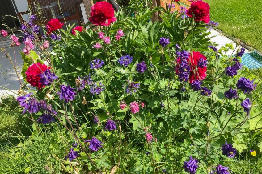 Böhmerwaldnest - foto 40