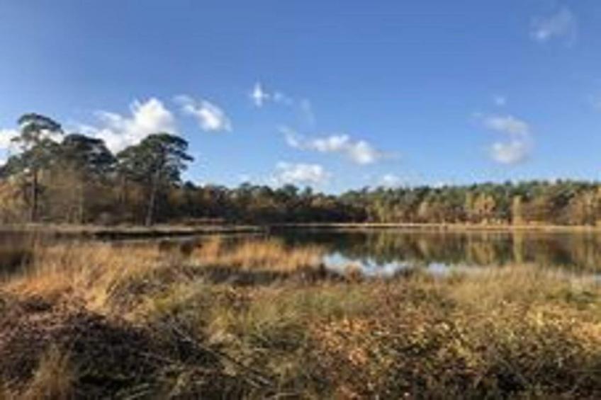 Boerderij Dwingelderveld - foto 35