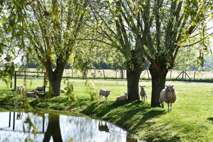 Orion 0004 - foto 21