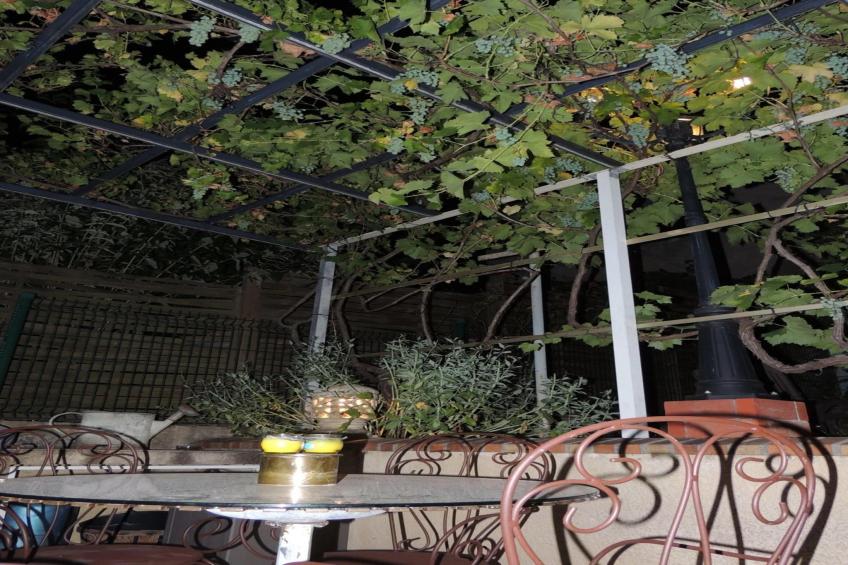 L'hôte antique - foto 10