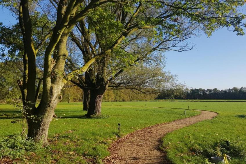 Parc de Kievit 23 - foto 32