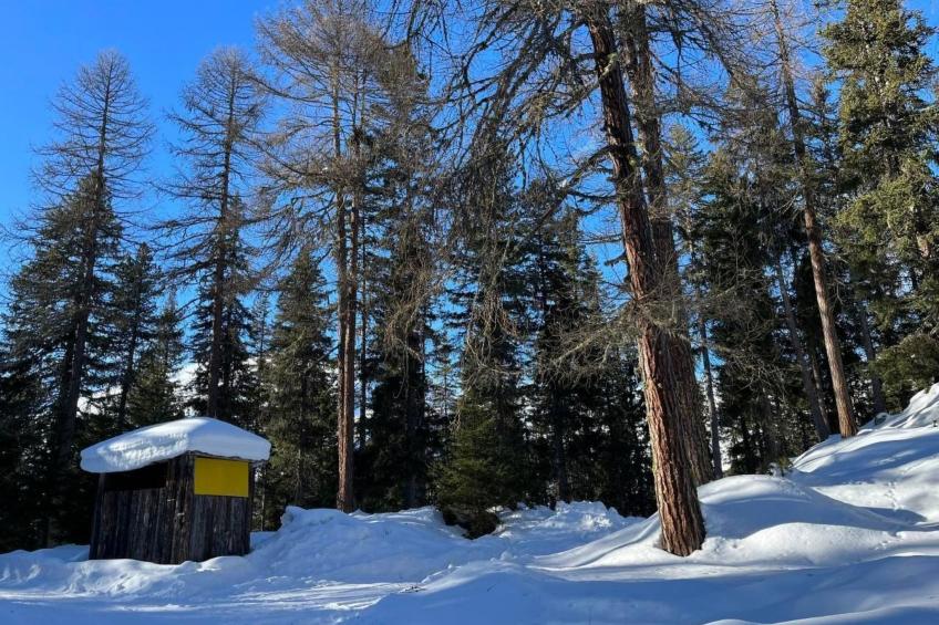 Chesa Giannuot - foto 27