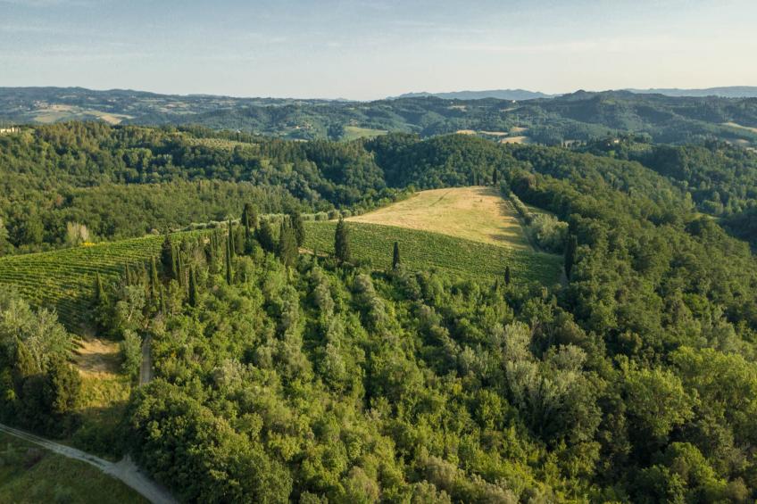 Villa San Miniato - foto 106