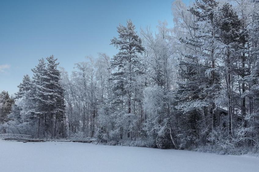 Villa tilia - foto 23