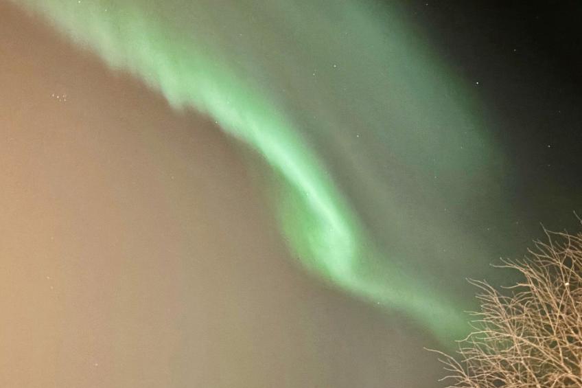 Grand villa kemijoki - foto 24