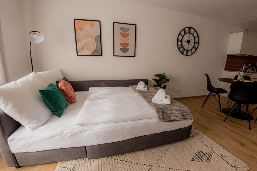 Come4Stay Passau - 2 Zimmer - bis zu 4 Gäste - foto 29