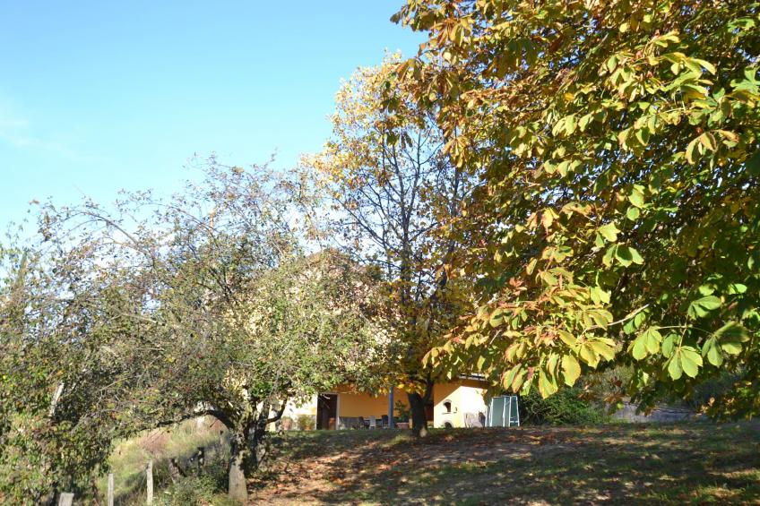 Nelverdue - foto 29