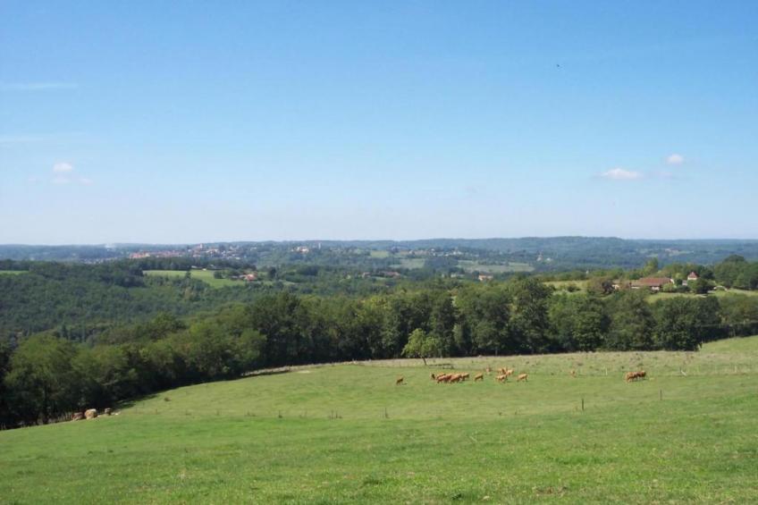 Maison de vacances - BERBIGUIÈRES - foto 33