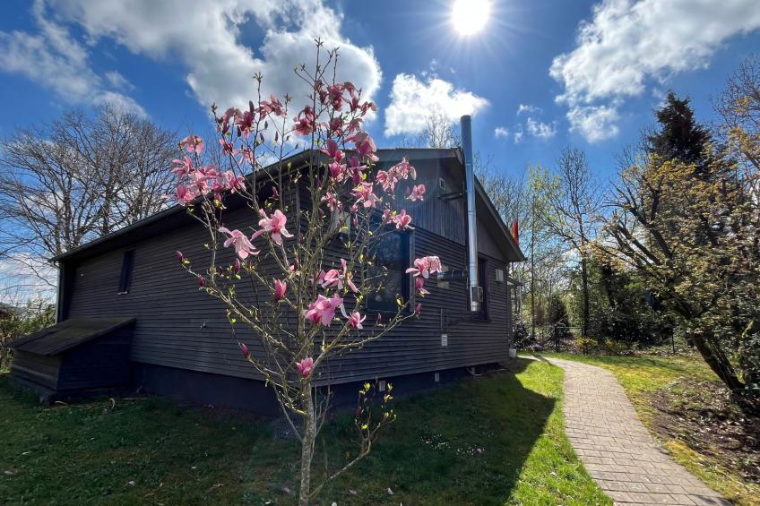 Waldblick in Vöhl-Basdorf - foto 8