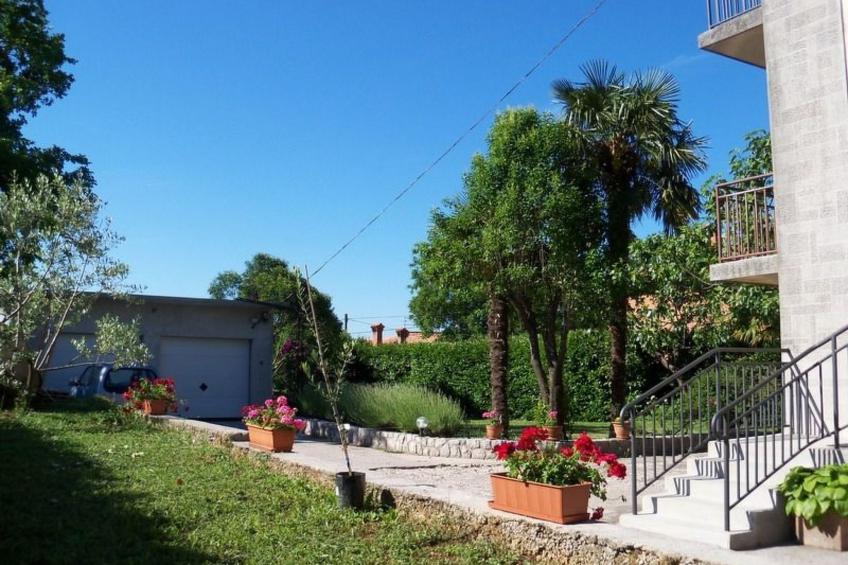 Wohnung mit Terrasse - foto 3