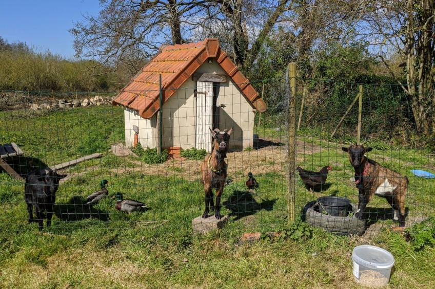 Estate "Le Pressoir" (Die Kelterei) - foto 21